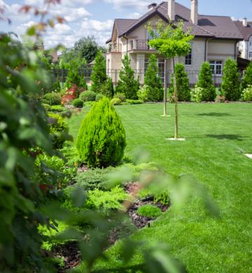 Img 3307